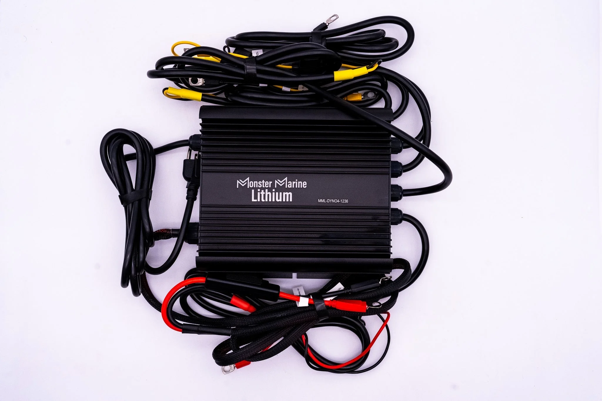 36v DYNO4 Dynamic Charger - Image 2