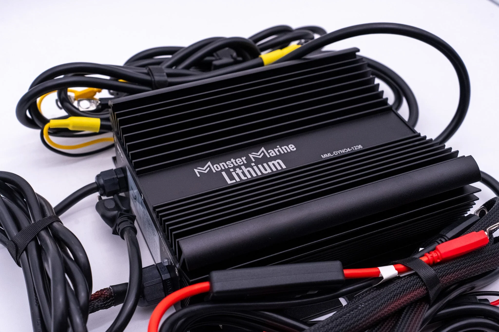 36v DYNO4 Dynamic Charger - Image 4