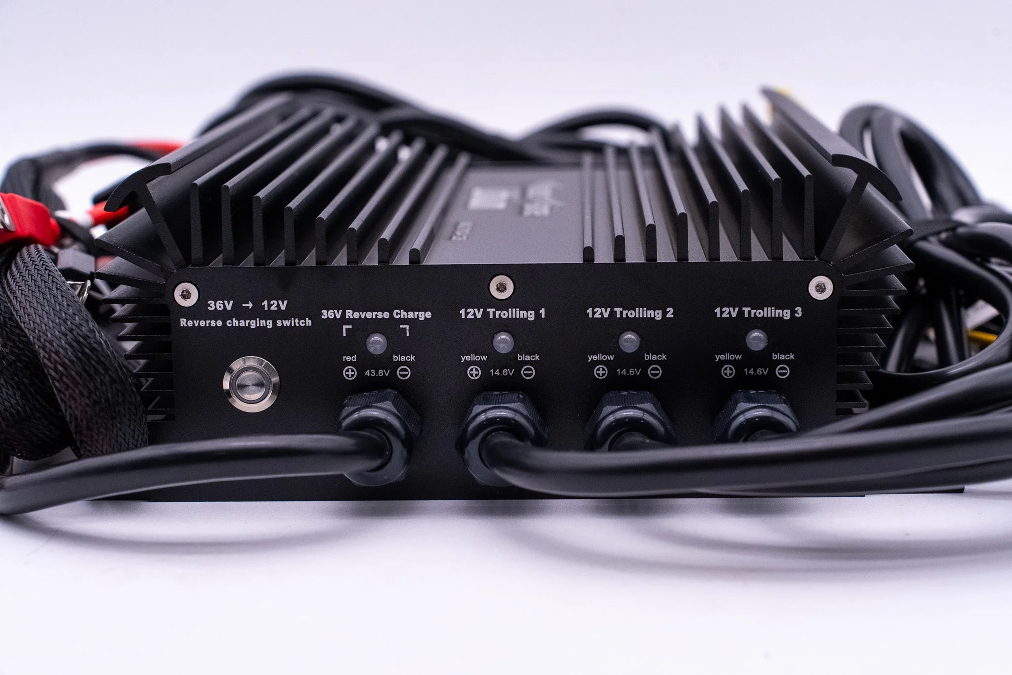 36v DYNO4 Dynamic Charger - Image 6