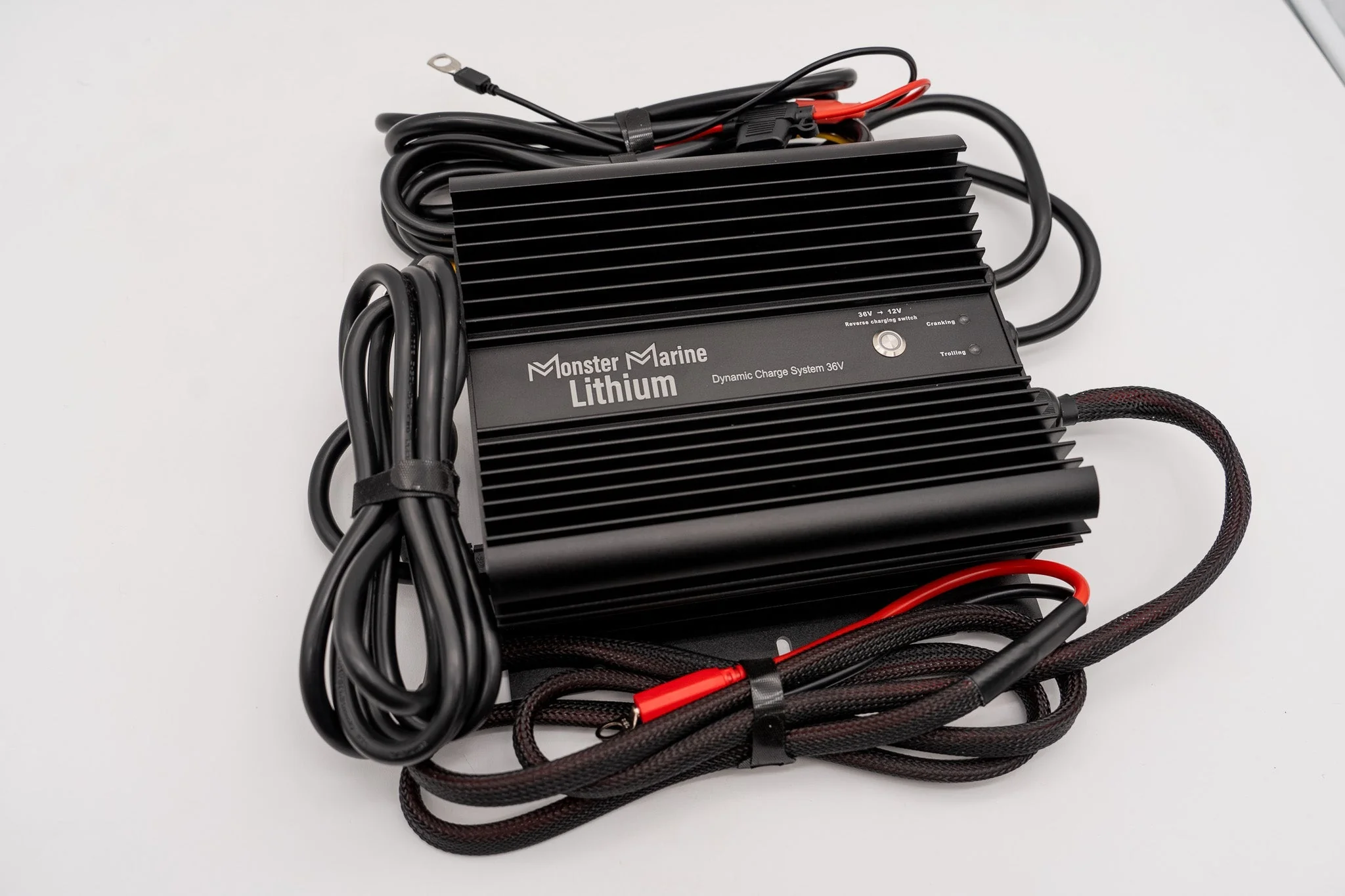 Dynamic Charge System 36V "The Ultimate Dual Charger" - Image 3