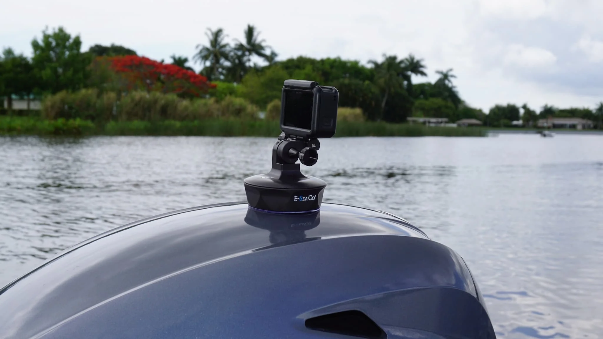 E-Sea Camera Mount-Suction Mounted Camera Mount - Image 5
