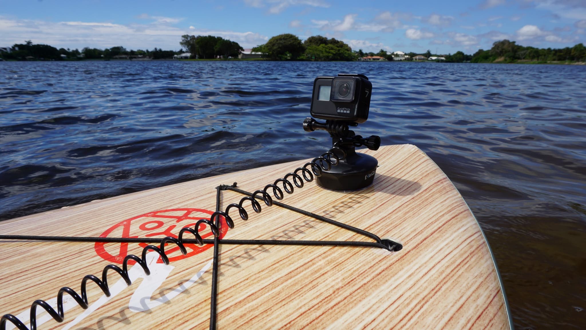 E-Sea Camera Mount-Suction Mounted Camera Mount - Image 6