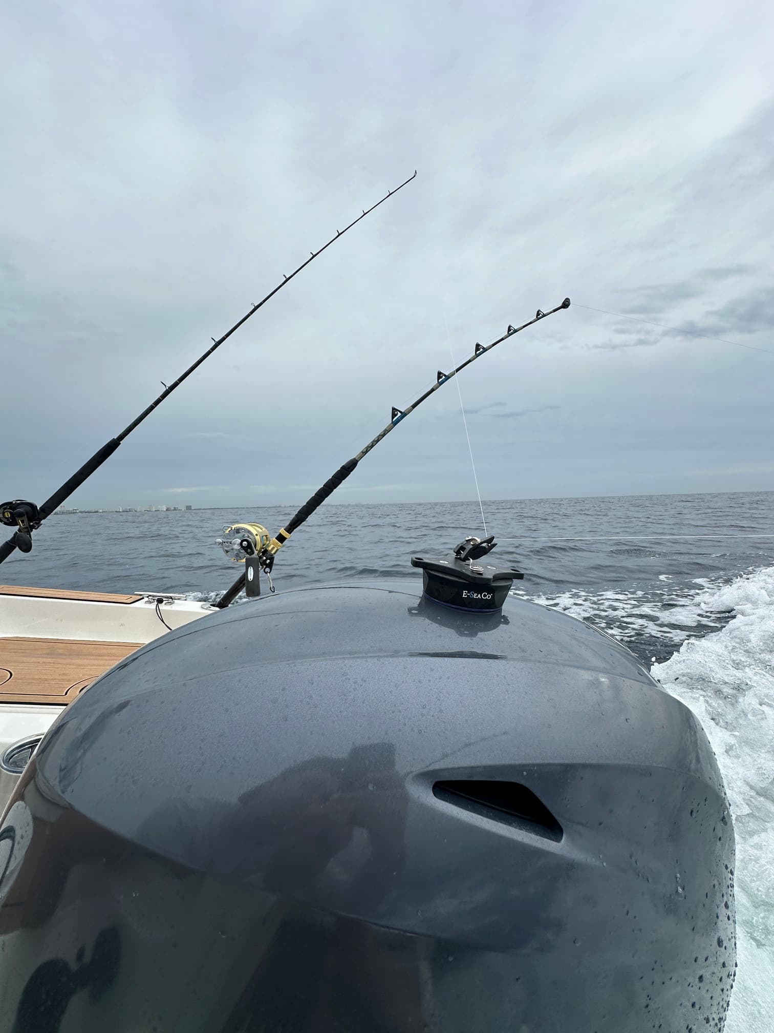 E-Sea Clip-Suction Mounted Flat-line Release Clip - Image 3