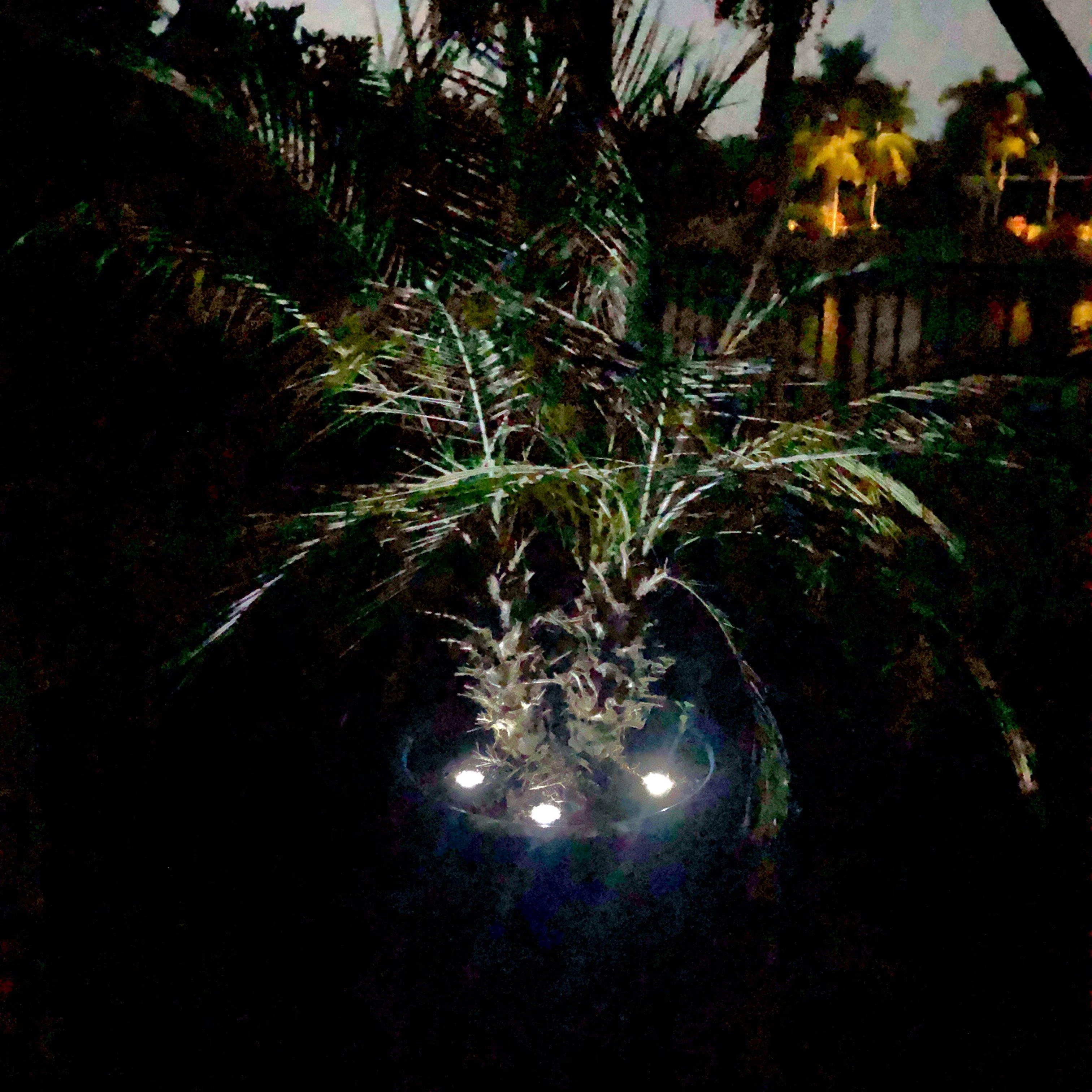 LED Dock & Deck Pods - Solar Powered Light Dots - Image 15