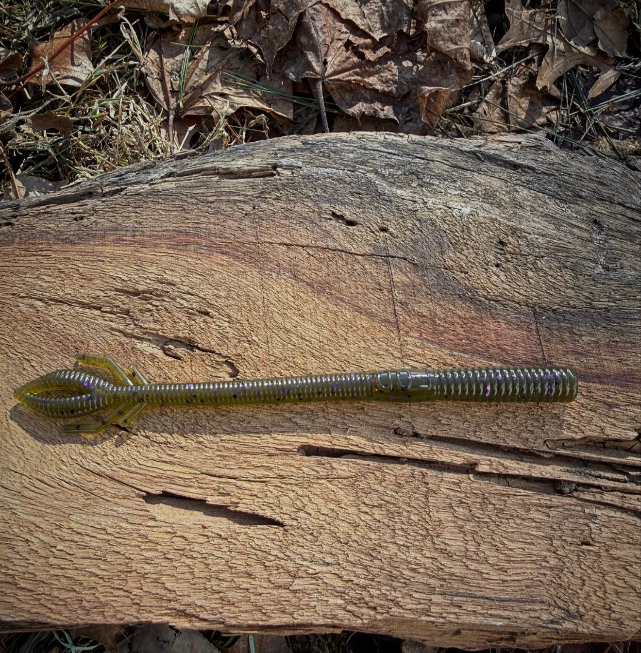 Musket - Image 15