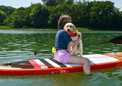 Spinlock FIDO Dog Life Jacket - Image 5