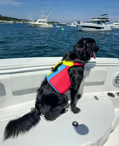 Spinlock FIDO Dog Life Jacket - Image 7