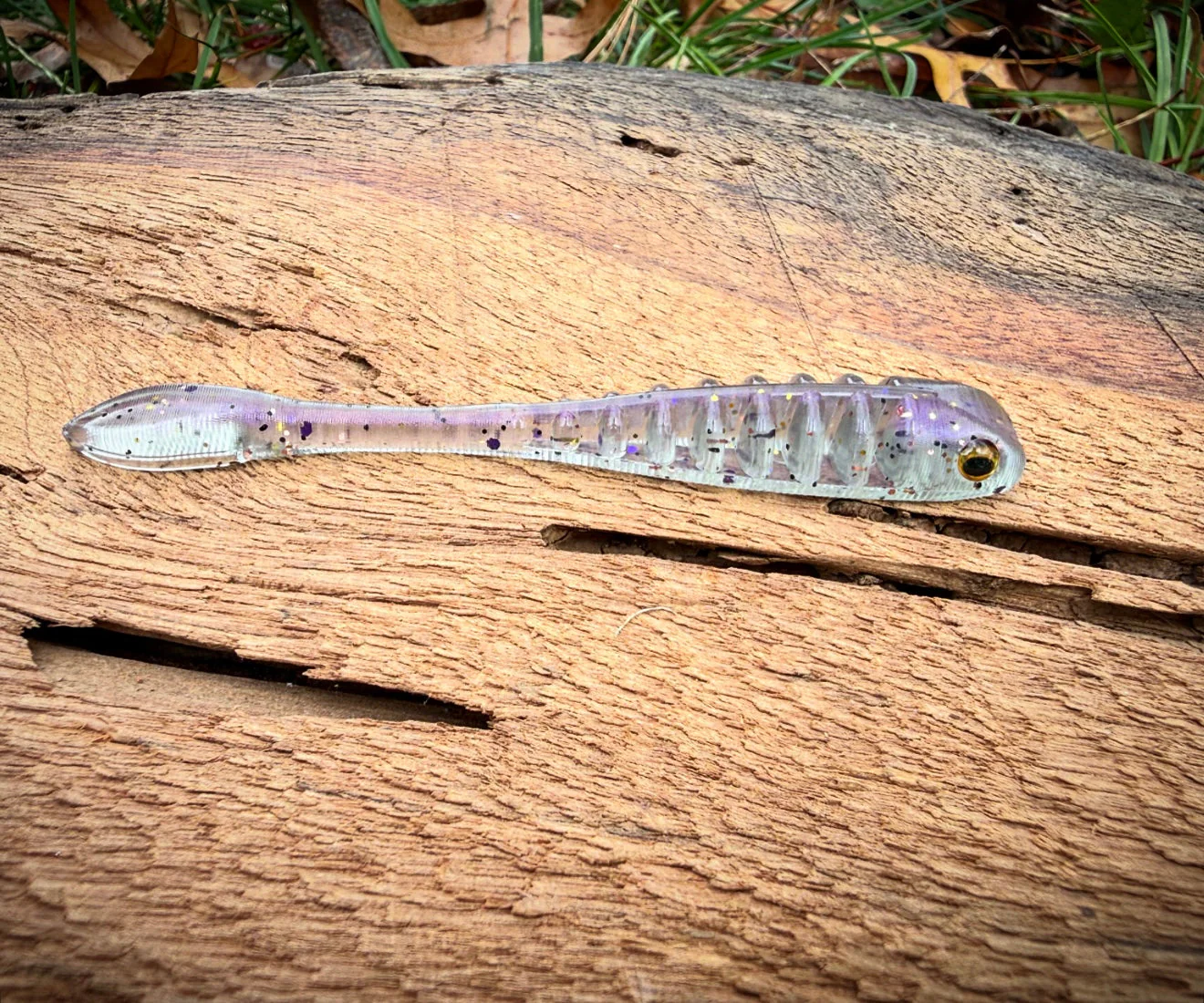 The Gadsden - Image 19
