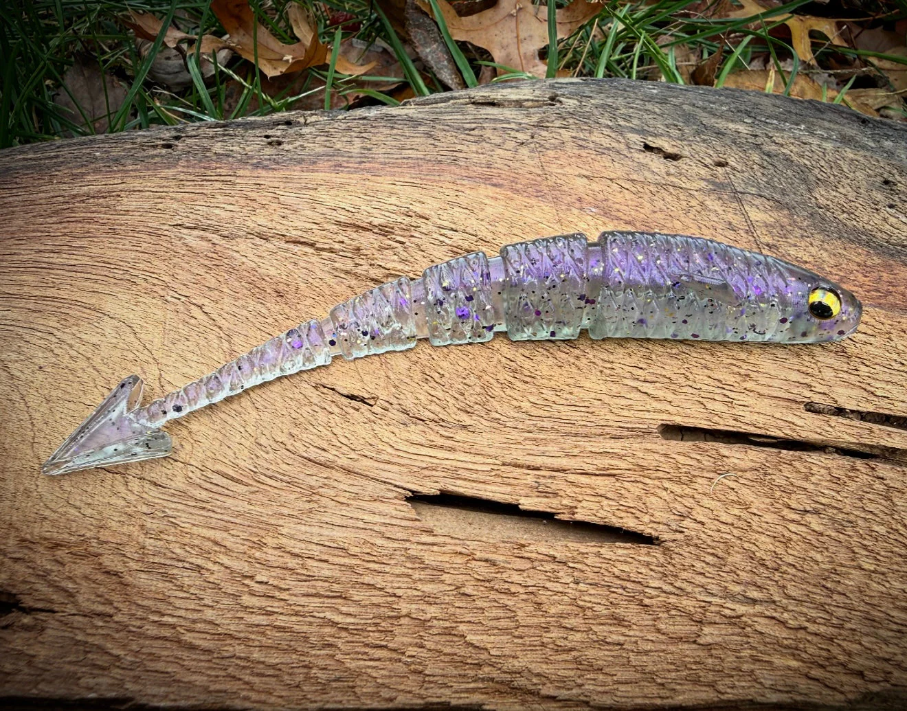 Warbird - Image 3